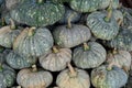 Close up group of pumpkin stacking. Pumpkin background