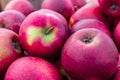 Close-up group of red apples fresh gathered at ecological farm, summer tray market full of organic fruits in a supermarket, Royalty Free Stock Photo