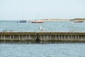 Close up of group seagulls fighting, on the pier in marina with sea in background.