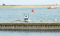 Close up of group seagulls fighting, on the pier in marina with sea in background. Royalty Free Stock Photo