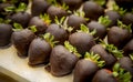 Close up of group of strawberries covered in dark chocolate Royalty Free Stock Photo