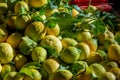 Close Up of a Group of Tangerines at Italian Market