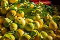 Close Up of a Group of Tangerines at Italian Market