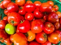 Close up of group of tomatoes cultivated on the vegetable garden of home - buying fruits at the supermarket to do diet