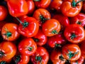 Close up of a group of tomatoes. Healthy eating concept. Tomato sauce recipe. Fresh organic tomatoes. Natural food background. Foo Royalty Free Stock Photo