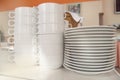 Close-up of a group of white ceramic tea cups and plates standing on a table with a white tablecloth, clean dishes in the hotel Royalty Free Stock Photo