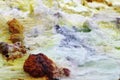A close-up of a gurgling sulfur spring in the Danakil depression