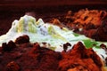 A close-up of a gurgling sulfur spring in the Danakil depression Royalty Free Stock Photo