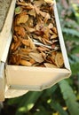 Close up of a gutter filled with oak leaves Royalty Free Stock Photo