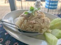 Hainanese chicken rice on white plate Royalty Free Stock Photo