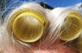 Close up from Hair curlers Royalty Free Stock Photo