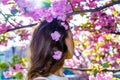 Close up hair of girl from the back with pink flowers in her hair with blossom sakura tree on background Royalty Free Stock Photo