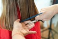 Close up of hairdresser hands cutting brown hair at home. Professional stylist trimming hair split ends Royalty Free Stock Photo