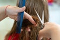Close up of hairdresser hands cutting brown hair at home. Professional stylist trimming hair split ends Royalty Free Stock Photo