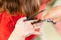 Close up of hairdresser hands cutting brown hair at home. Professional stylist trimming hair split ends Royalty Free Stock Photo