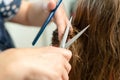 Close up of hairdresser hands cutting brown hair at home. Professional stylist trimming hair split ends Royalty Free Stock Photo