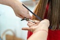 Close up of hairdresser hands cutting brown hair at home. Professional stylist trimming hair split ends Royalty Free Stock Photo