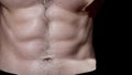 Close-Up on Hairy Six Pack MaleTorso