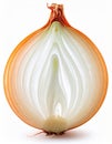 Close Up Half Cut Brown Onion on White Background For Culinary Ingredient Royalty Free Stock Photo