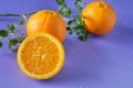 Close up Half of Fresh Navel Orange Royalty Free Stock Photo