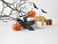 Close up Halloween decorations. Halloween gifts and pumpkins, scary brances on white background. Royalty Free Stock Photo