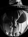 Close up on halloween pumpkin and its wizard hat, black and white Royalty Free Stock Photo