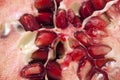 Close up of halved pomegranate. Macro photo.