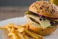 Close up of hamburger with french fries Royalty Free Stock Photo