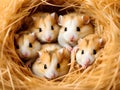 close up hamster in a nest, Ai Generated