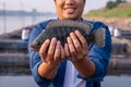 Close up hand of Aquaculture farmer hold quality tilapia yields, guaranteeing integrity in organic bio-aquaculture. Fish is a high