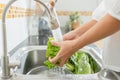 Close-up of hand Asian women wash vegetable in the kitchen and preparation for food lettuce at home morning time