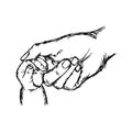 close-up hand of baby and mother holding together vector illustration sketch hand drawn with black lines, isolated on white Royalty Free Stock Photo