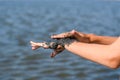 Close-up of a hand brush smearing with black curative mud from a salt lake.