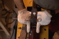 Close-up the hand of carpenter working hard while planing on wood with a manual wood planer or plane tool in workshop or carpentry Royalty Free Stock Photo