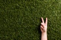 Close up of hand of caucasian woman showing peace sign with copy space on grass background Royalty Free Stock Photo