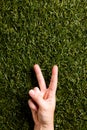 Close up of hand of caucasian woman showing peace sign with copy space on grass background Royalty Free Stock Photo