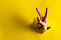 Close up of hand of caucasian woman showing peace sign with copy space on torn yellow background Royalty Free Stock Photo