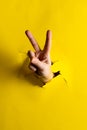 Close up of hand of caucasian woman showing peace sign with copy space on torn yellow background Royalty Free Stock Photo