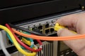 Close-up of a hand that connects a UTP cable to the switch. Computer network cable.