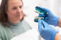 close up hand dentists dental teeth model show teeth, gum, root, caries, decay, plaque and enamel. Royalty Free Stock Photo