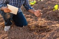 Close up hand of a farmer checking soil health before growth a seed of vegetable or plant seedling. Business or ecology concept