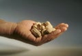 Close-up of a hand full of peanuts Royalty Free Stock Photo