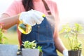 Close up hand gardener woman help afforest and water the plant Royalty Free Stock Photo