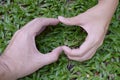 hand with a green grass, heart shape Royalty Free Stock Photo