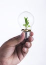 Close up hand holding bulb and coins with small plant growing out of it-Investment concept Royalty Free Stock Photo