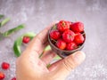 Close-up of hand holding a ceramic bowl with ripe red cherries Royalty Free Stock Photo