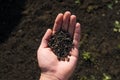 Close up of hand holding dark brown volcanic soil outdoors. concept of geology study