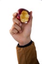 Close-up of hand holding eaten apples Royalty Free Stock Photo