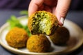 close up of hand holding a falafel ball, showing texture