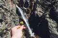 Close-Up Of Hand Holding flower against waterfall in nature.